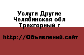 Услуги Другие. Челябинская обл.,Трехгорный г.